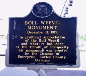 boll weevil plaque